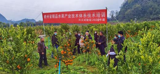 贵州省精品水果产业技术体系培训会